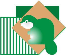 logo cgi